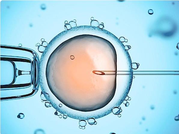 银川试管婴儿费用会受影响吗，卵巢情况对银川试管婴儿费用的影响因素