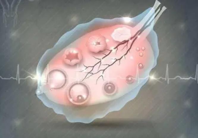 胚胎移植失败4次还要继续吗，找出失败原因才是成功的前提