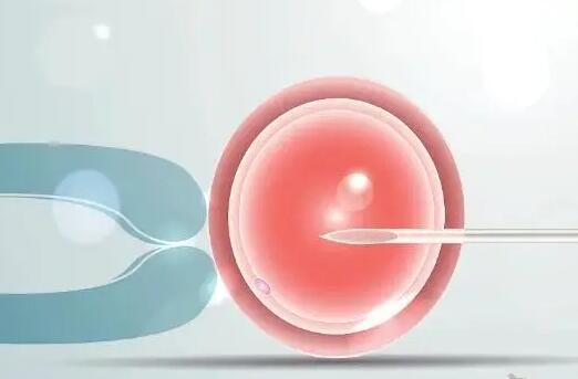 试管婴儿一超胎芽正常大小不超这个数2mm不一定会胎停