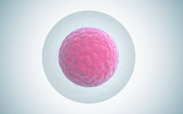 培养第6天的囊胚等级只有4bb是不是继续发育的潜力很差啊