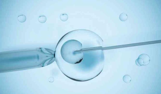 加拿大拉拉试管婴儿助孕指南一文带你了解同性试管婴儿流程