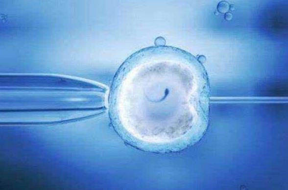 试管婴儿移植囊胚的窗口期往后推迟了八个小时是正常的吗