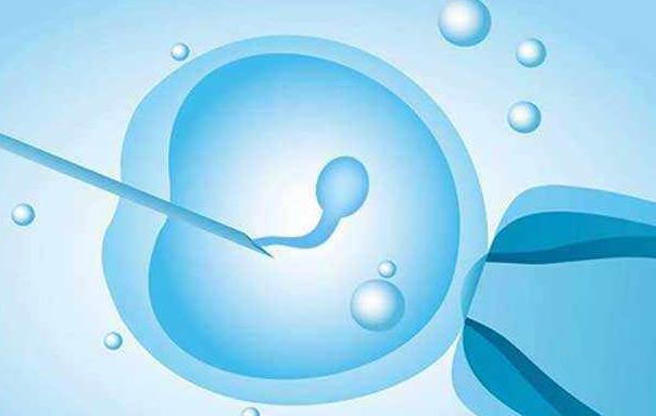 鲜胚移植后不容易着床是为什么，有可能是内膜和胚胎质量的问题