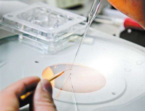 第一次做试管婴儿为什么都是移植一个胚胎呢