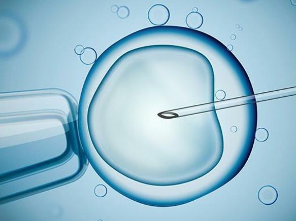 试管婴儿的人工周期和自然周期有什么区别，人工周期和自然周期试管婴儿的优缺点