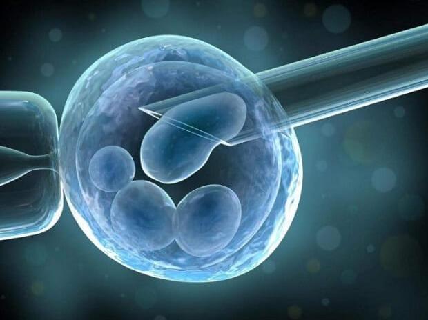 试管婴儿降调促排是什么意思，试管婴儿做什么有利于胚胎移植